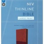 NIV Large Print Thinline Bible, Brown LeatherSoft Cover with Zipper Closure