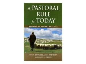 A Pastoral Rule for today