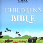 NRSV Children’s Bible, Hardbound Edition (ISBN: 9781496472014)
