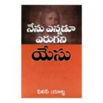 Christian books in Telugu, The Jesus I Never Knew, spiritual literature