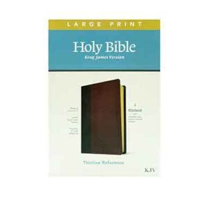 KJV Large Print Thinline Reference Bible: Filament Enabled