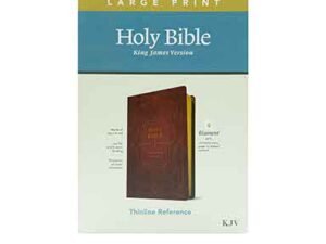KJV Large Print Thinline Reference Bible: Filament Enabled