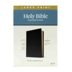 KJV Large Print Thinline Reference Bible, Filament Edition
