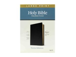 KJV Large Print Thinline Reference Bible, Filament Edition