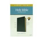 KJV Large Print Thinline Reference Bible: Filament Enabled