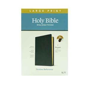 KJV Large Print Thinline Reference Bible: Filament Enabled
