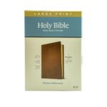 KJV Large Print Thinline Reference Bible, Filament Enabled