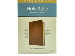 KJV Large Print Thinline Reference Bible, Filament Enabled