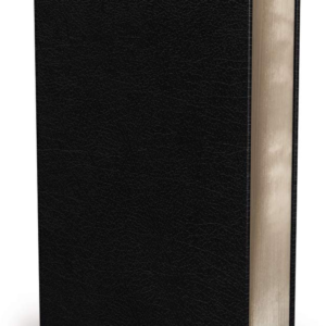 NIV Biblical Theology Study Bible: New International Version, Biblical Theology Study Bible, Black, Bonded Leather, Comfort Print; Follow God s Redemptive Plan As It Unfolds Throughout Scripture Bonded Leather