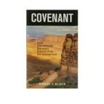 Covenant: The Framework of Gods Grand Grand Plan of Redemption