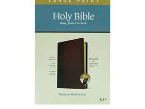 KJV Large Print Thinline Reference Bible with Filament Enabled Technology for Easy Reading