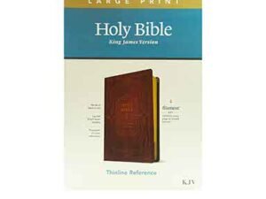 KJV Large Print Thinline Reference Bible: Filament Enabled