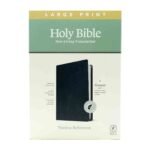 NLT Large Print Thinline Reference Bible, Filament Edition