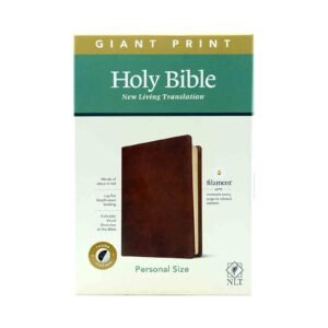 NLT Personal Size Giant Print Bible, Filament Edition