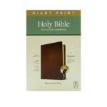 NLT Personal Size Giant Print Bible, Filament Enabled