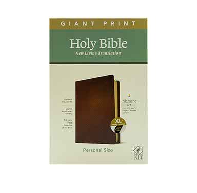 NLT Personal Size Giant Print Bible, Filament Enabled Edition