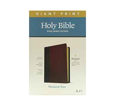 KJV Personal Size Giant Print Filament Enabled Bible