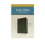 KJV Personal Size Giant Print Bible