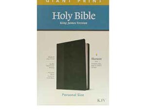 KJV Personal Size Giant Print Bible