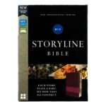 Explore the epic story of the Holy Bible with the NIV Storyline Bible.