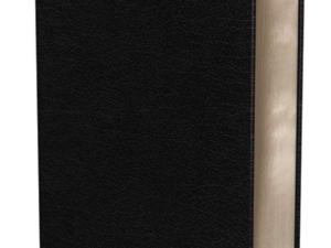 NIV Biblical Theology Study Bible: New International Version, Biblical Theology Study Bible, Black, Bonded Leather, Comfort Print; Follow God s Redemptive Plan As It Unfolds Throughout Scripture Bonded Leather