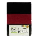 NIV Holman Rainbow Study Bible