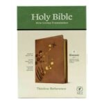 NLT Holy Bible Filament Enabled