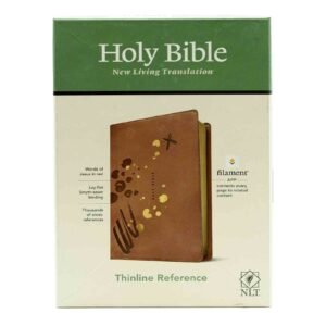 NLT Holy Bible Filament Enabled