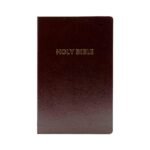 NIV Holy Bible (Anglicised edition)