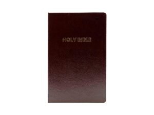 NIV Holy Bible (Anglicised edition)