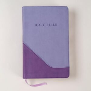 KJV Personal Size Giant Print Reference Bible