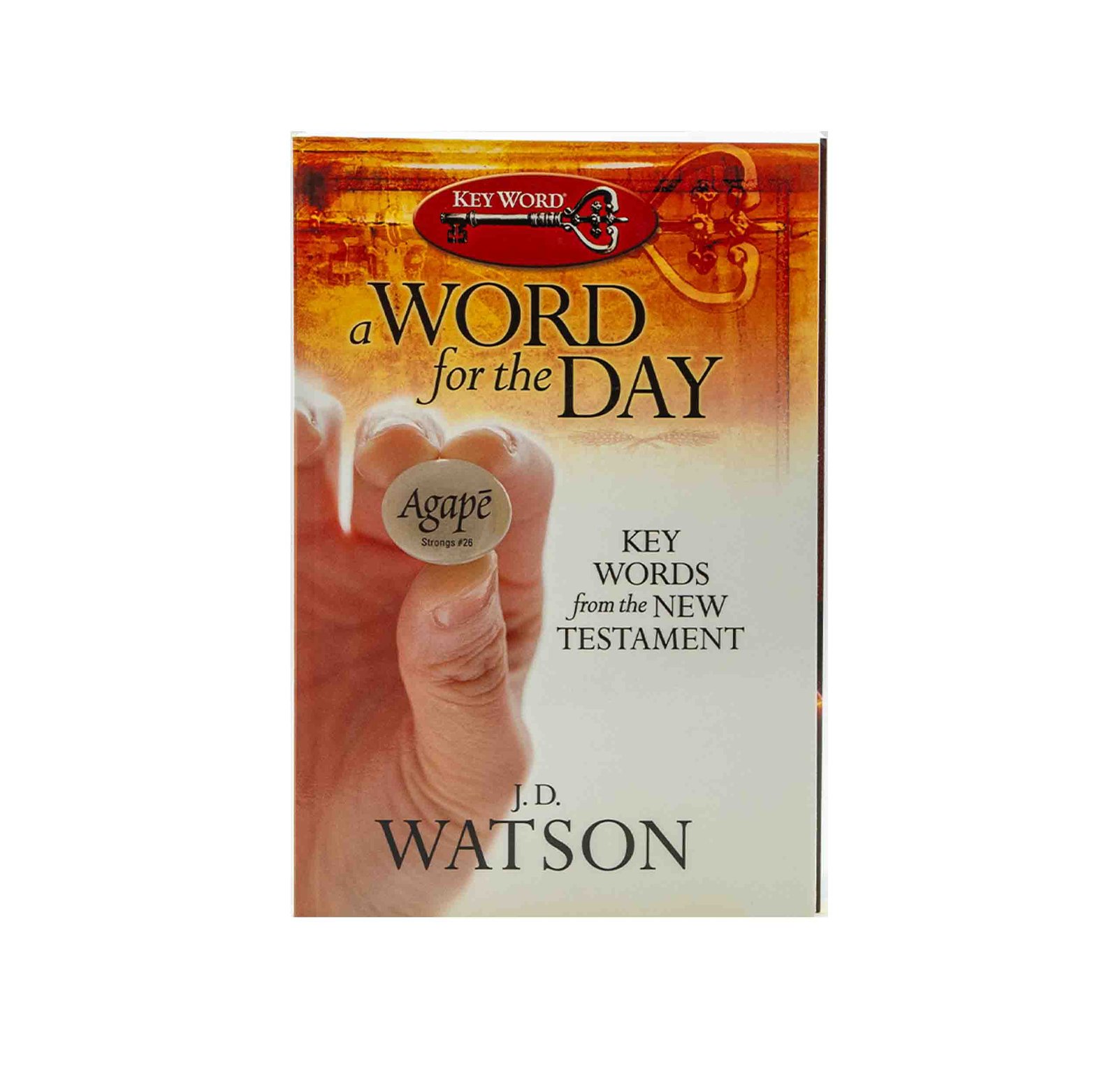 New Testament Study Companion: Daily Devotionals and Biblical Insights