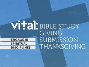 Vital: Engage in the Spiritual Disciplines - Bible Study