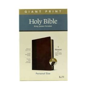 KJV Giant Print Personal Size Filament Indexed Bible