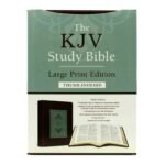 KJV Study Bible