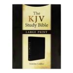 KJV Study Bible