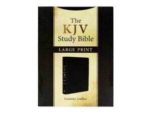 KJV Study Bible