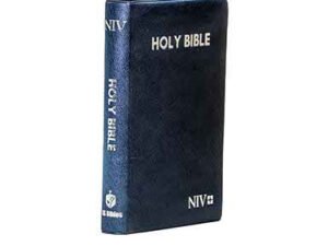 NIV Medium Pearl vinyl Blue