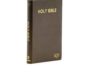 KJV Medium Pearl vinyl Brown