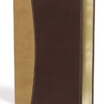 Compact Amplified Holy Bible in Leathersoft Camel/Burgundy