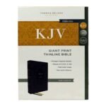 KJV Holy Bible: Giant Print Thinline Bible