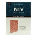 NIV Holy Bible Giant Print Edition