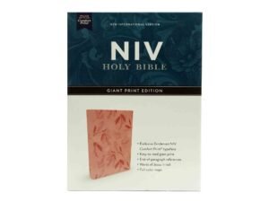 NIV Holy Bible Giant Print Edition
