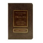 Transformed by the Trinity: A Devotional Journey