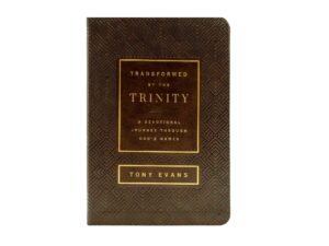 Transformed by the Trinity: A Devotional Journey