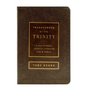 Transformed by the Trinity: A Devotional Journey
