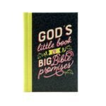 Gods Little Book of Big Bible Promises