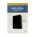 KJV Giant Print Holy Bible Filament Edition