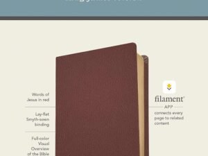 KJV Giant Print Bible Filament Edition