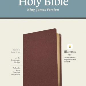 KJV Giant Print Bible Filament Edition